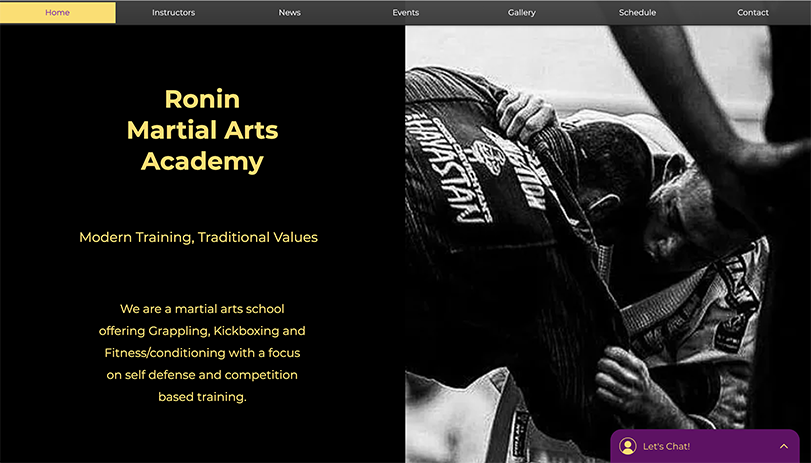 Snapshot of the Ronin Martial Arts Academy website